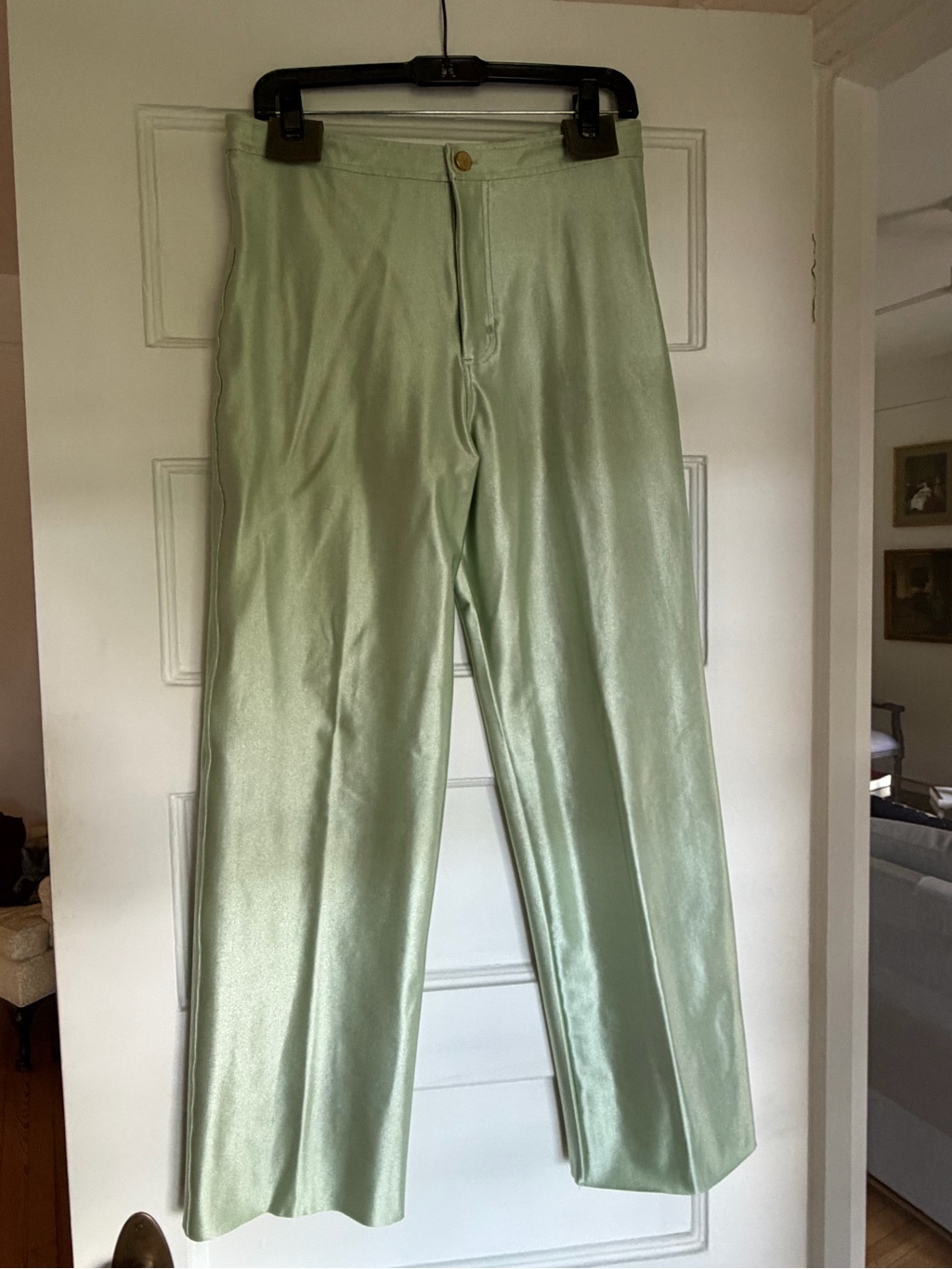 Rezek Light Green Satin Straight-Leg Pants